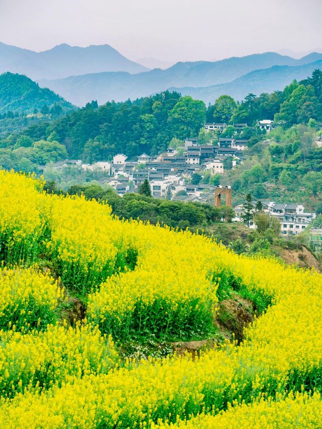 尋夢婺源：油菜花海與徽派建築的千年詩畫
