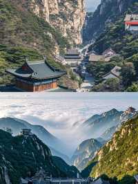 剛從泰山回來，不知當講不當講