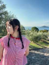 八重岳櫻之森公園賞櫻攻略：全日本最早的櫻花季✨
