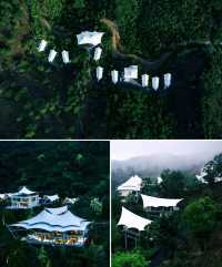270°全景落地玻璃窗！安吉茶山上嘅野奢帳篷酒店