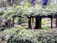 Guilin Botanical Garden: A Verdant Paradise