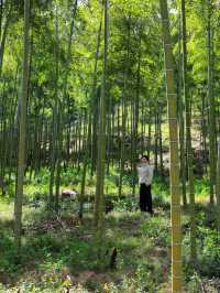 以為臨平公園夠美了！直到去了湖州杜鵑花海