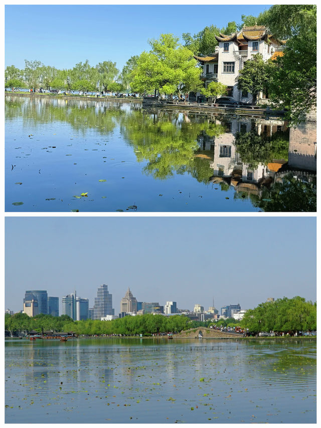 西湖賞花｜孤山公園杜鵑花滿開啦4月17日杭州剛回