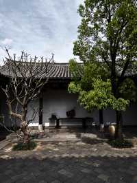 建水·百年老宅｜聽紫雲
