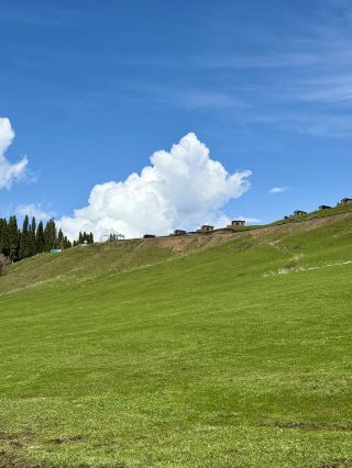 Kuerdening, Xinjiang | The Spruce Kingdom Deep in the Tianshan Mountains, a Lost Fairyland