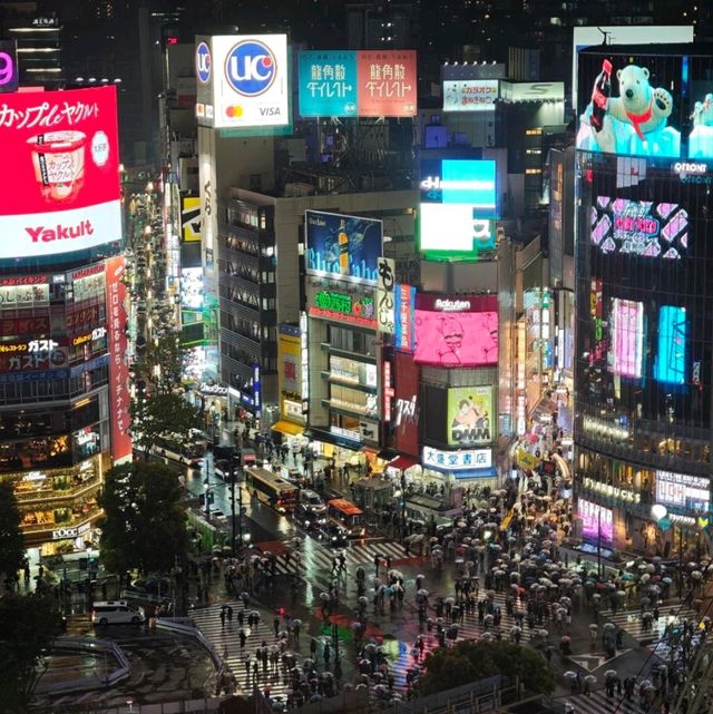 日本旅遊的戒斷反應為何這麼強烈啊？