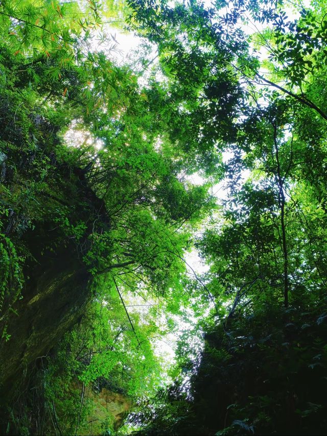 成都徒步|唔捨得公開嘅避暑式徒步溯溪地！