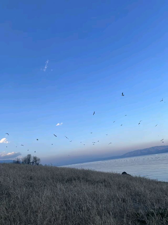 如果不是朋友把我騙過來還真不知道有這樣一個地方