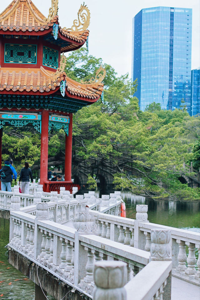 闹市中的古刹！福州西禪寺一日遊攻略