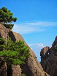 總要去趟黃山吧 真係靚到喊