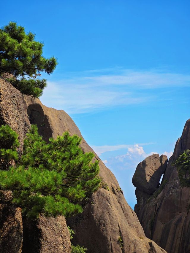 總要去趟黃山吧 真係靚到喊