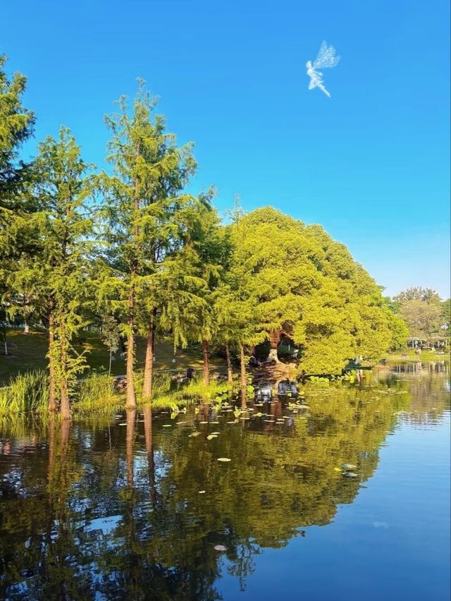 南京旅遊攻略