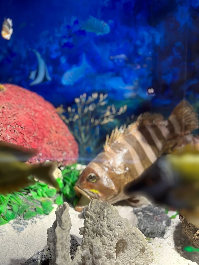 六一趣遊南海博物館，定格親子專屬回憶