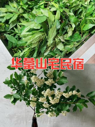 화영산재 민박