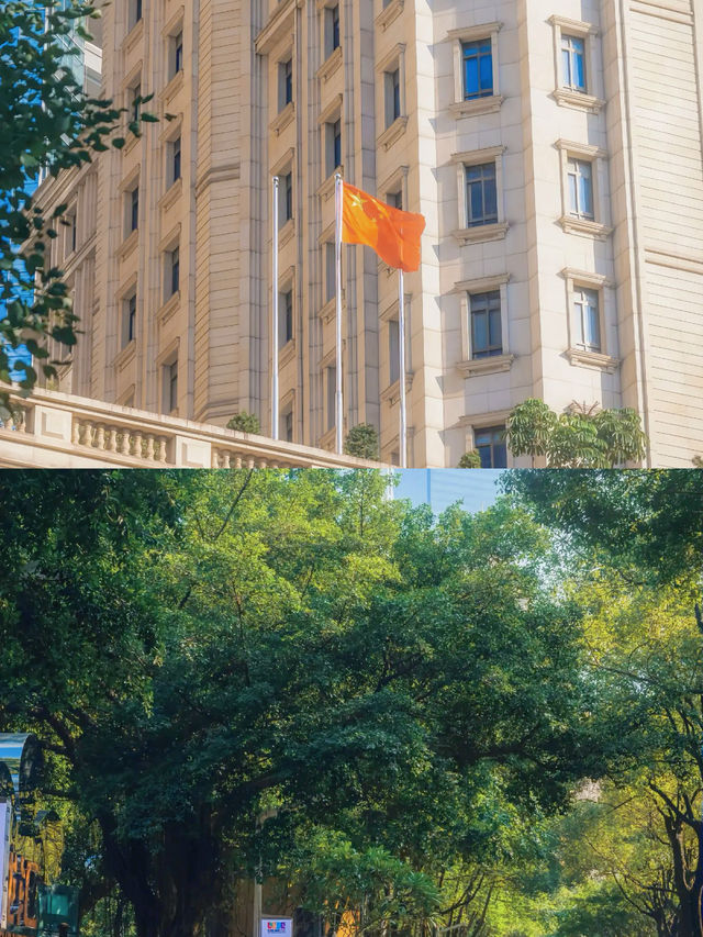 花開時遇見佛，花落時讀懂眾生