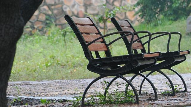 圓明園雨荷攝影指南