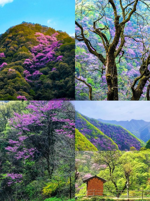 25℃清涼秘境！西安周邊5處親子玩水天花板