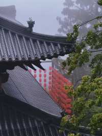 雨中漫步徑山寺 | 無它心舍48小時禪意時光