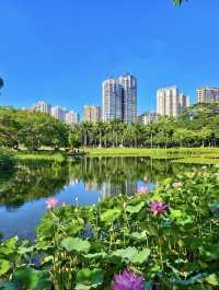 尋幽中山園：錦江側畔的夏日清涼詩箋