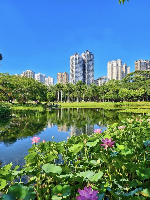 尋幽中山園：錦江側畔的夏日清涼詩箋