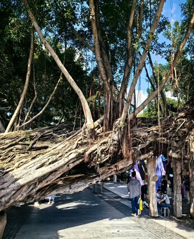 廈門超絕住宿體驗！錦江之星品尚帶你嗨翻旅程！