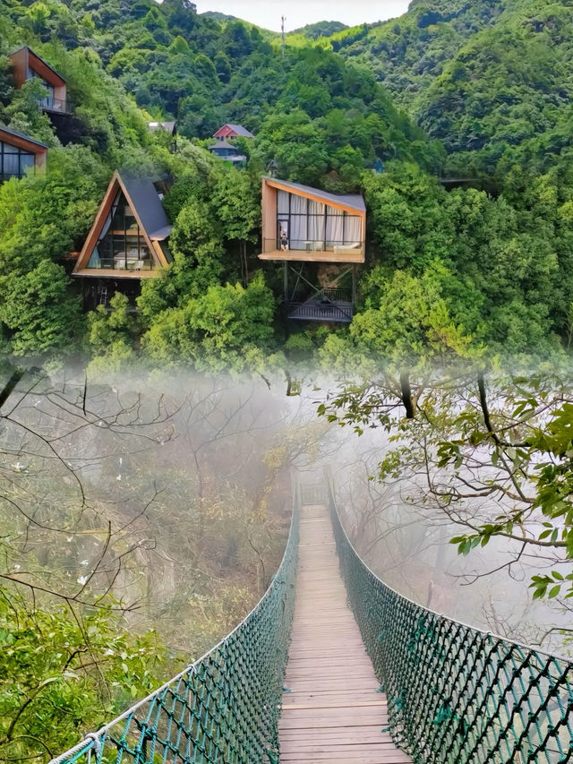 莫干山私藏玩法大公開 同閨蜜一齊來避暑莫干山