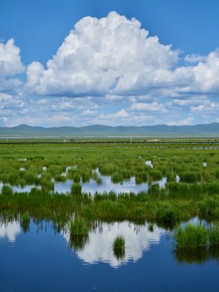 Ruoergai Grassland Horse Riding Paradise