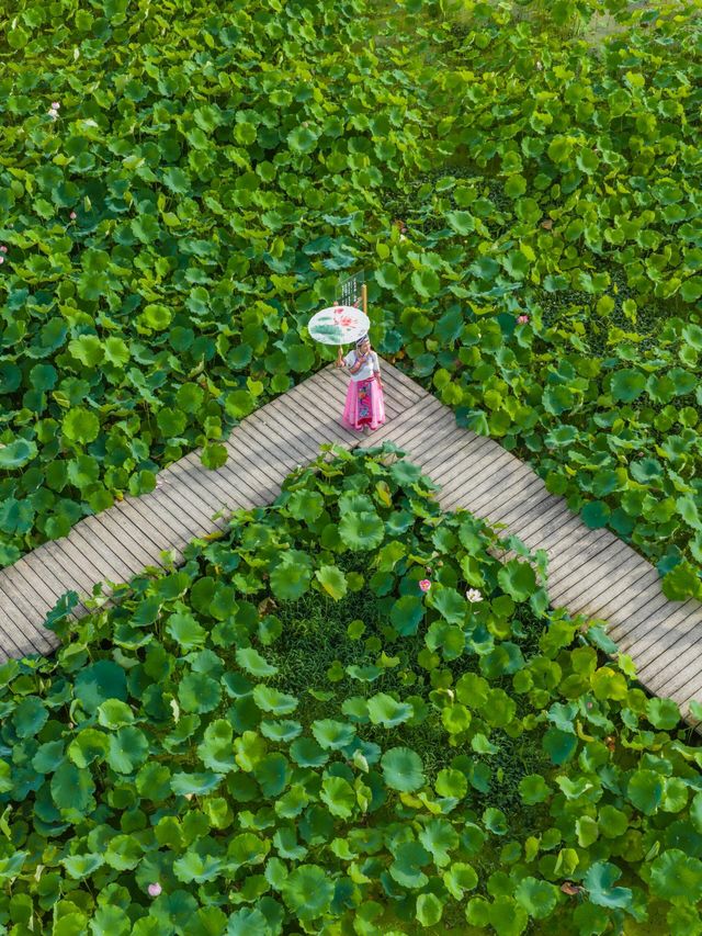 浙江開化｜99%人唔知嘅冷門小城秘境！避世療癒天花板