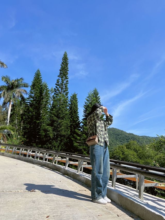 雲海天使灣旅遊攻略