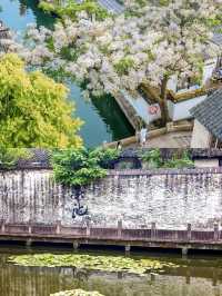 嚟紹興，跟住魯迅足跡避暑，親子遊新玩法