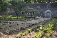 龐貝古城兩千年歷史嘅花園重現生機