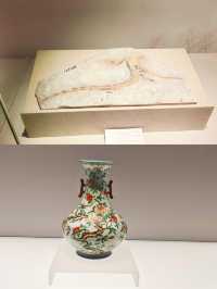 上博新展「龍騰中國」，究竟藏何驚喜？