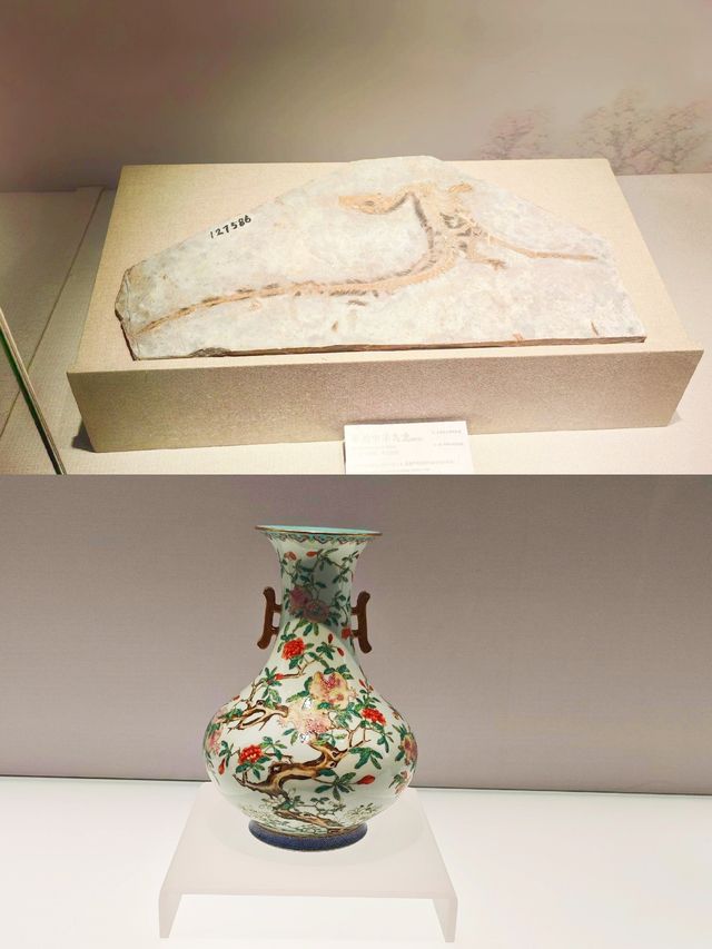 上博新展「龍騰中國」，究竟藏何驚喜？