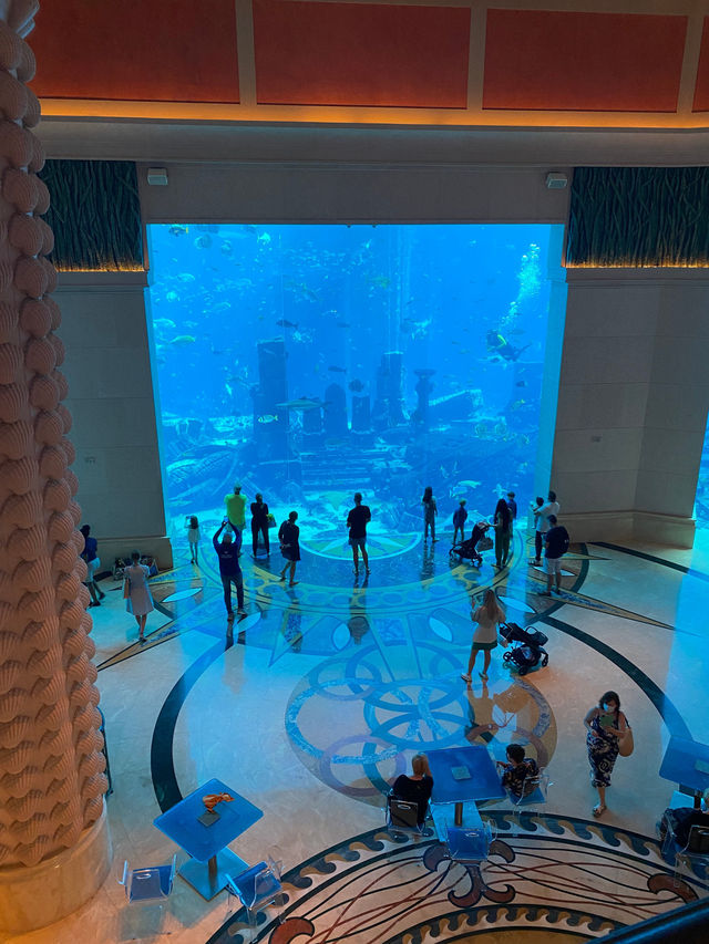 亞特蘭蒂斯棕櫚島酒店體驗超正  杜拜棕櫚島新月路, 杜
