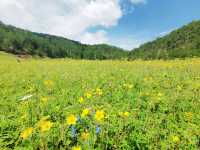 麗江寧蒗稻古民宿，山野慢時光的溫柔邂逅