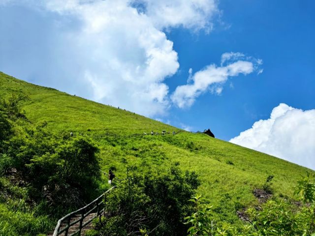 去咗4次吉安武功山，終於玩到明！