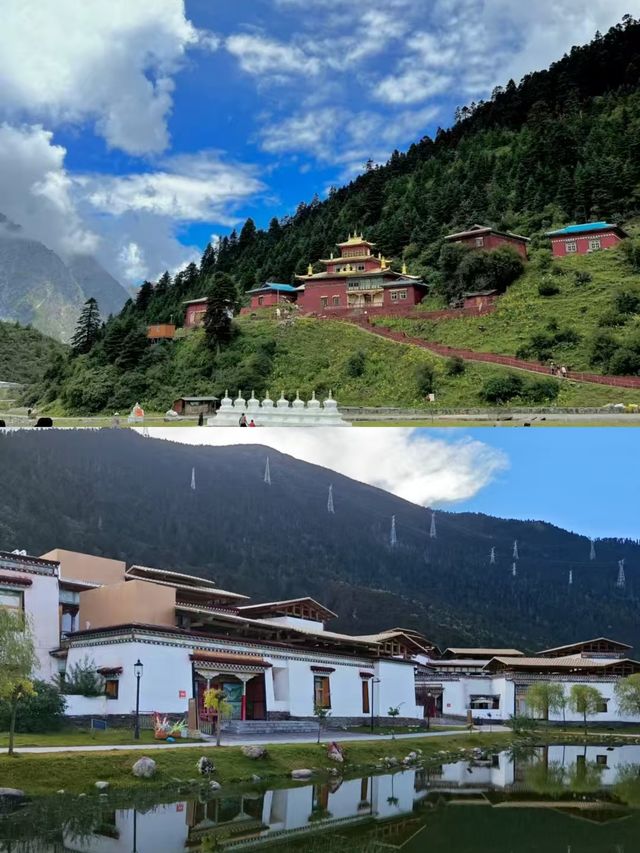 林芝已返，我的建議係…