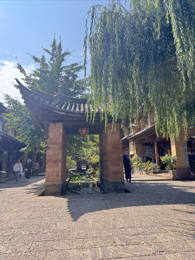 沙溪一日遊  一份從大觀酒店（大理高鐵站洱海公園店）出發的攻略：  交通方式  •自駕：從大理大