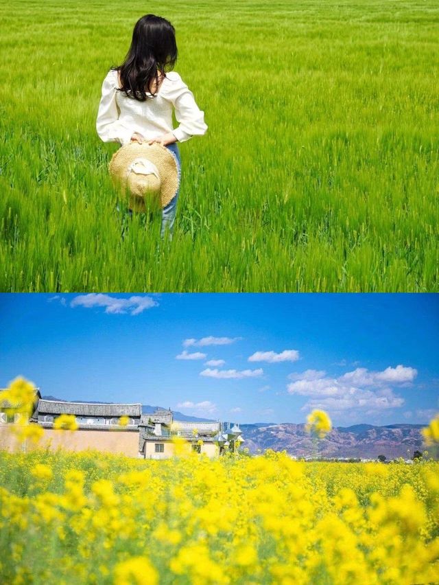 大理雙廊｜住進洱海嘅溫柔裡，連時光都變慢咗