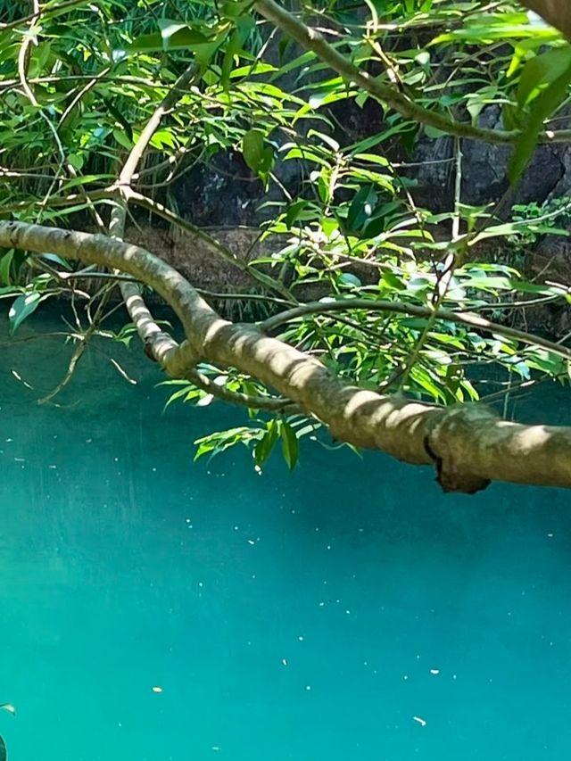 國家地理真沒騙人！這座浙江小城美到詞窮