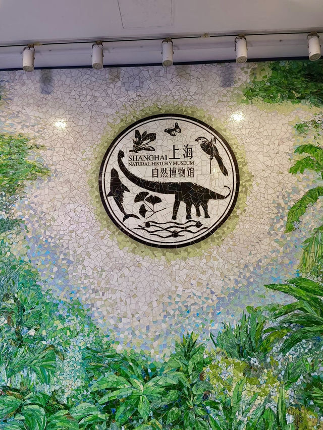 時光之書，上海自然博物館