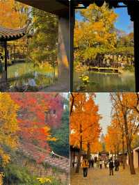 【蘇州爆款旅遊攻略 | 三天玩轉古今雙面江南】