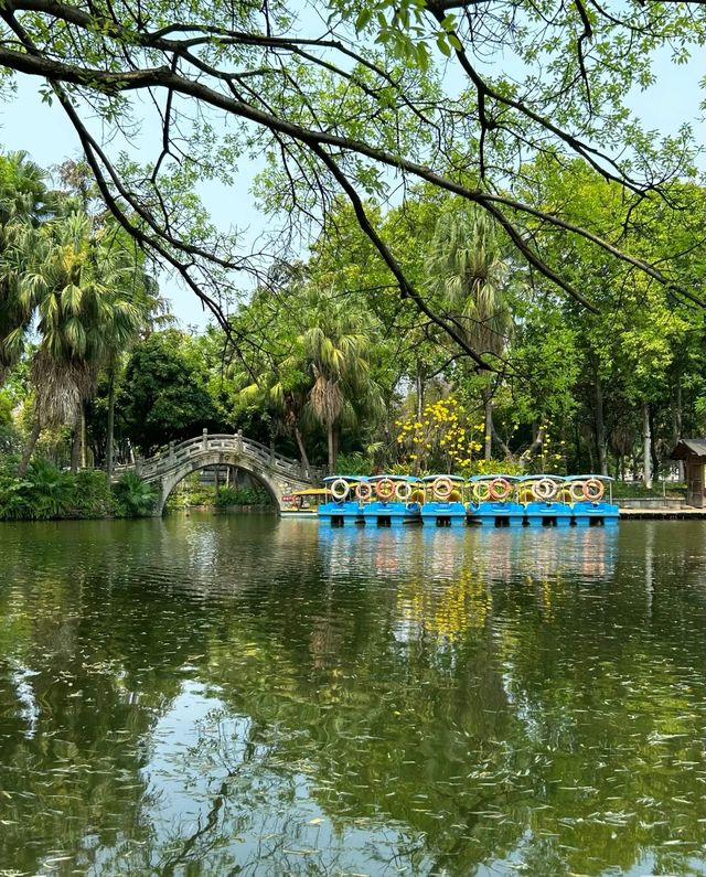 鬧中取靜,獨樹一幟的園林之光 鬧中取靜,獨樹一幟的園林之光