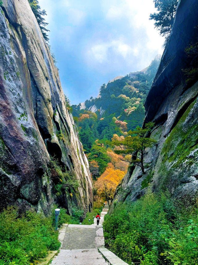 華山絕美雲海路線