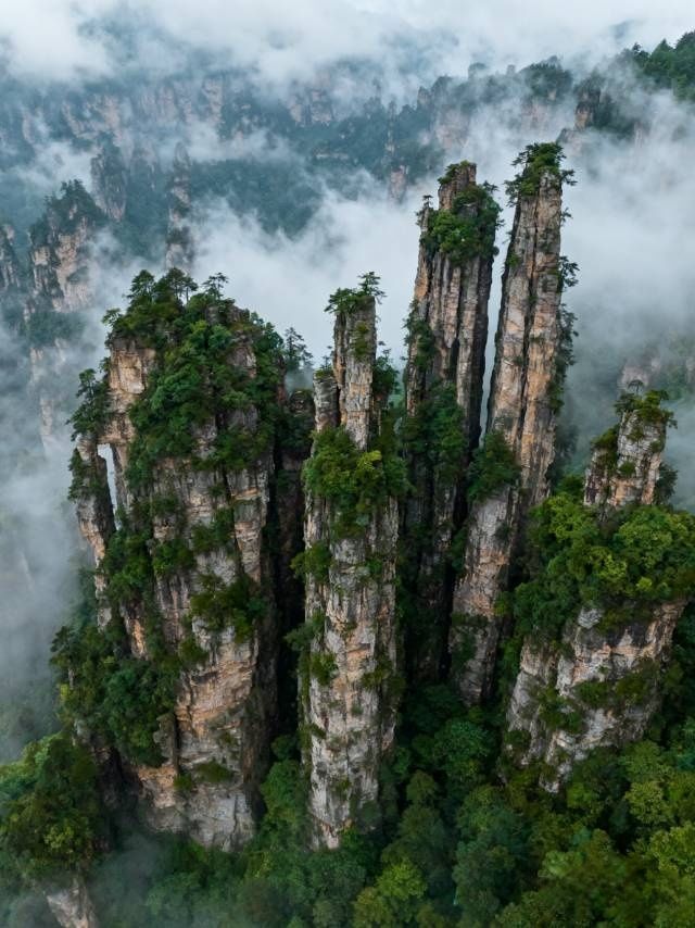張家界 山野迷霧打卡點