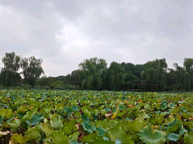假期小眾寶藏地十一避開人海來這玩