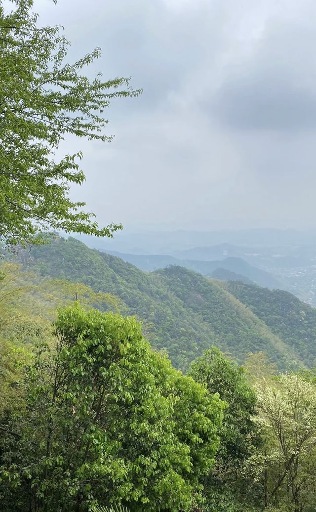 重走蔣公道｜把莫干山的秋裝進徒步裡