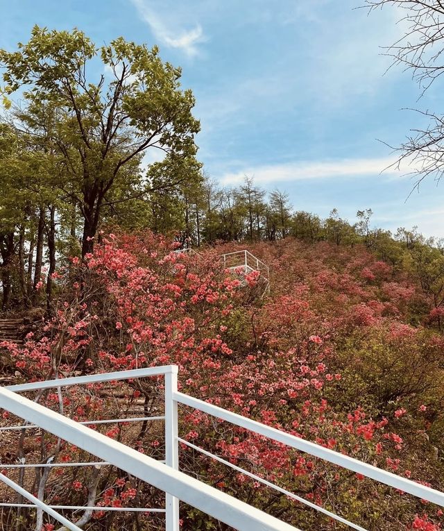 重走蔣公道｜把莫干山的秋裝進徒步裡