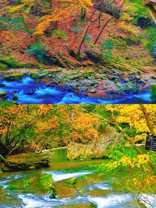 Tracing the Han Dynasty, dreaming back to the Two Han and Three Kingdoms era