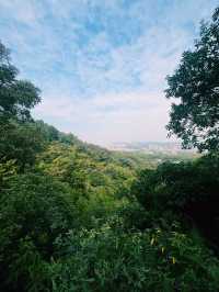 Baiyun Mountain: Your Epic Nature Retreat Near Guangzhou 🌄🌳